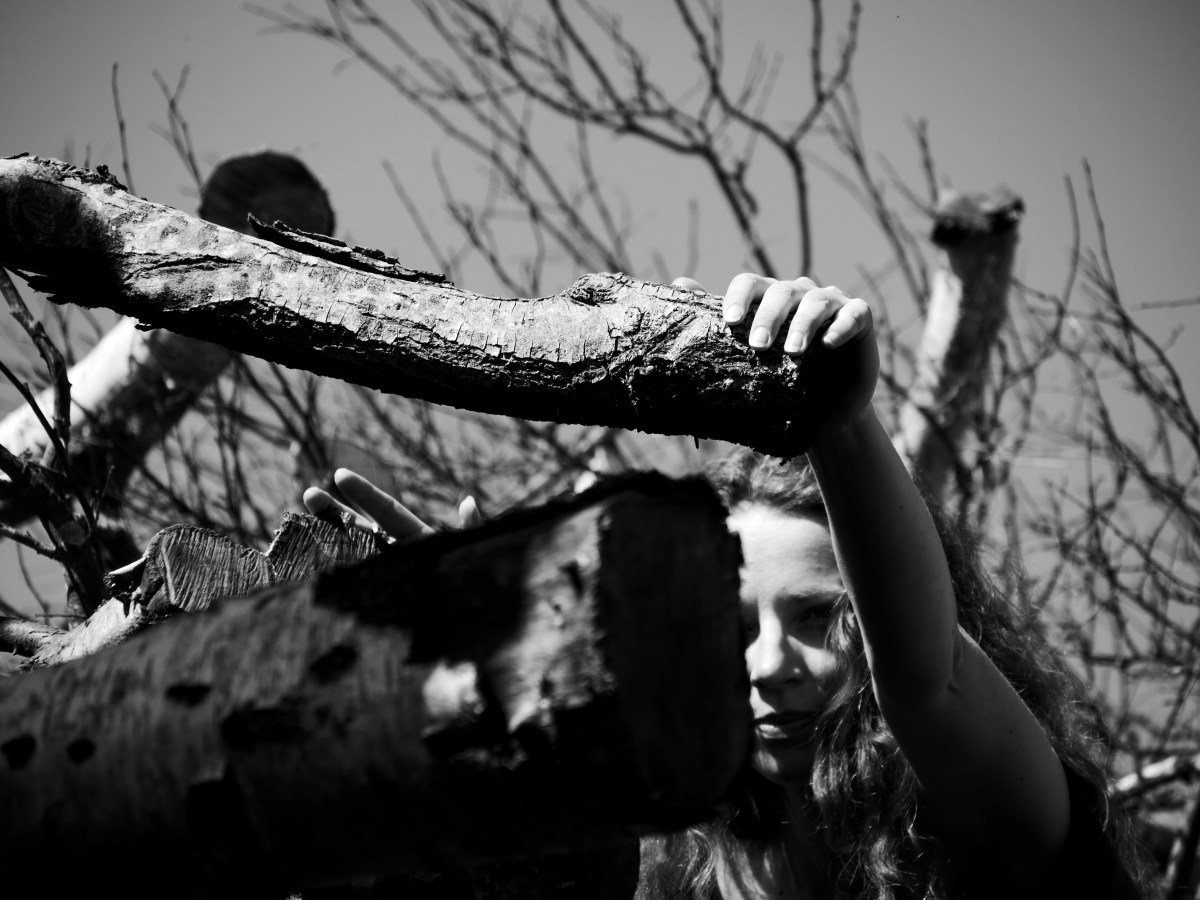 HEAVEN : HAVEN : HAVN (Læsø, Denmark,&nbsp;2016)