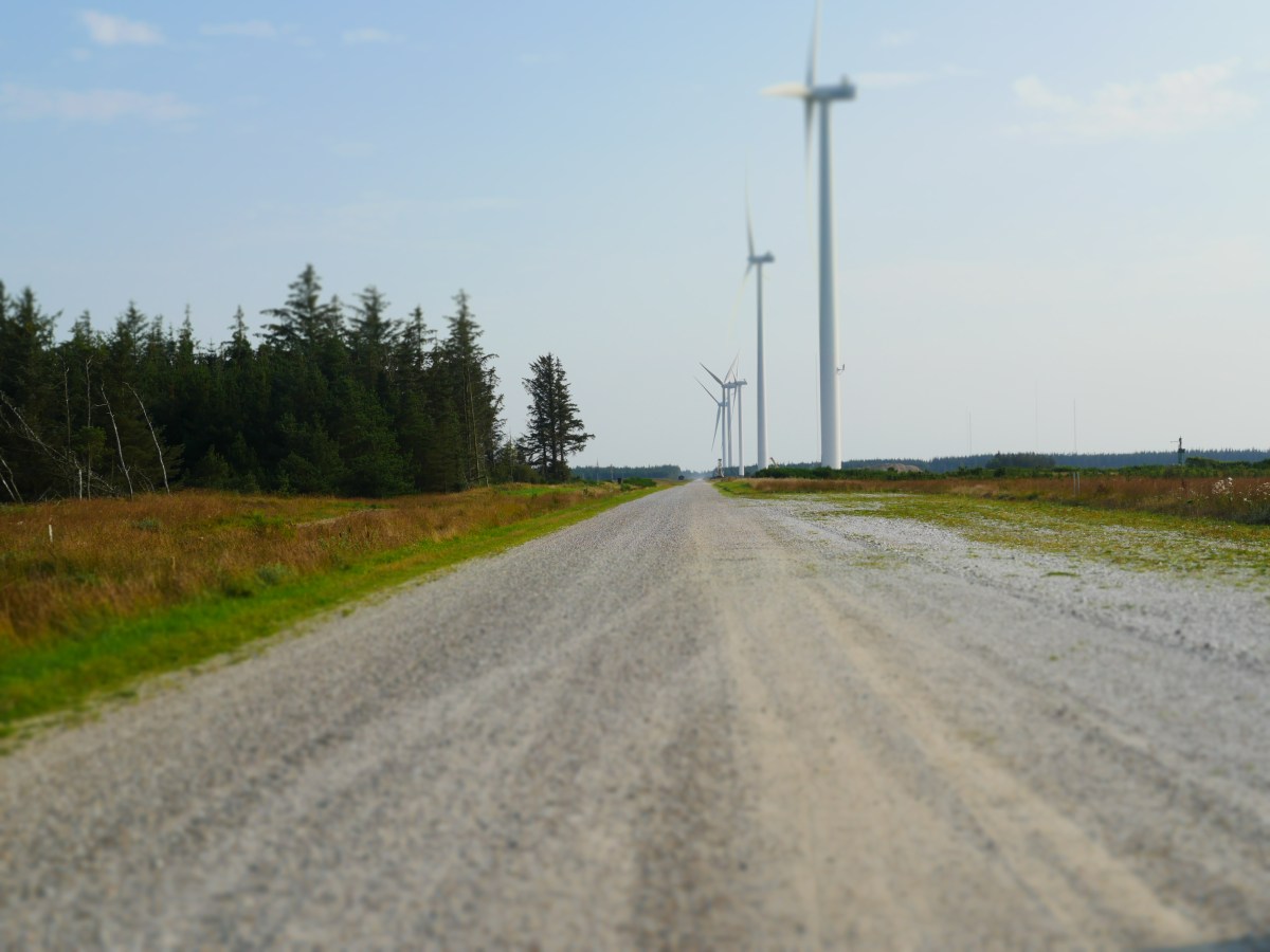 STRUER TRACKS: REALITY-BASED MULTI-CHANNEL PERFORMANCE (Struer, Denmark,&nbsp;2019)